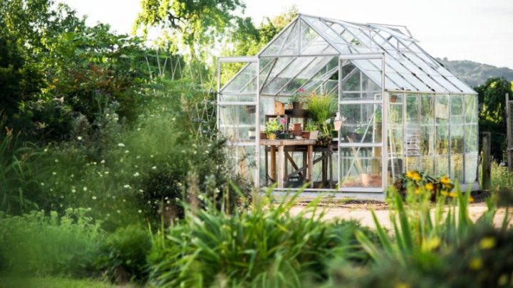 Jak zaplanować efektywne wykorzystanie przestrzeni w szklarni ogrodowej?